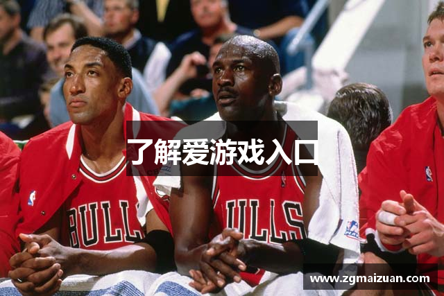 了解爱游戏入口